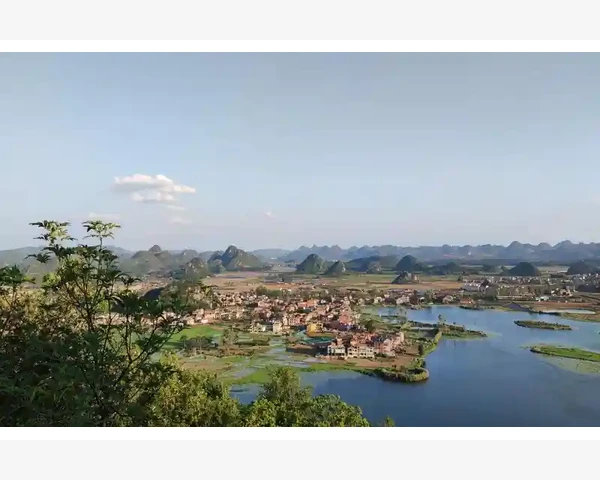 脾胃吸收的中药材：探索传统世界的瑰宝