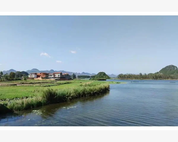 夏日清新，自然脾胃健——夏日茶饮篇